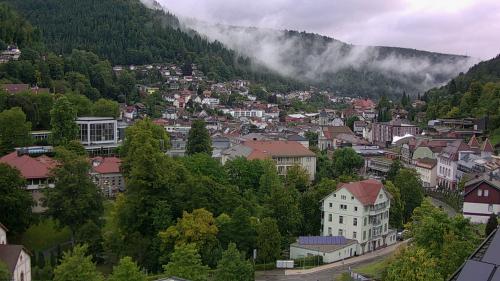 Webcam Bad Wildbad