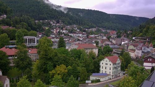 Webcam Bad Wildbad