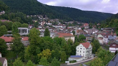 Webcam Bad Wildbad