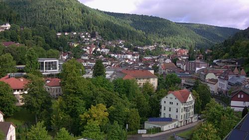 Webcam Bad Wildbad