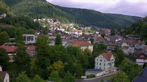 Webcam Bad Wildbad