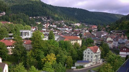 Webcam Bad Wildbad