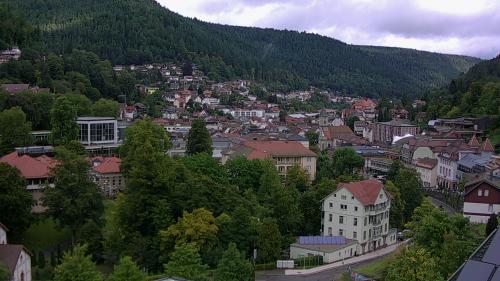 Webcam Bad Wildbad