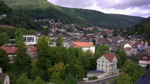 Webcam Bad Wildbad