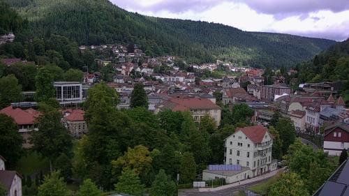 Webcam Bad Wildbad