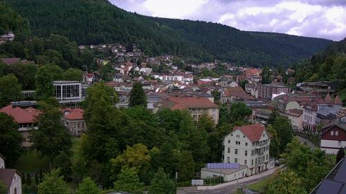 Webcam Bad Wildbad