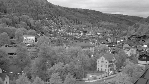 Webcam Bad Wildbad