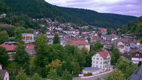 Webcam Bad Wildbad