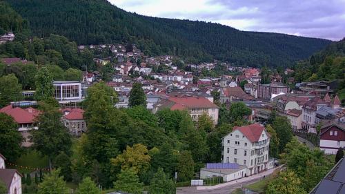 Webcam Bad Wildbad