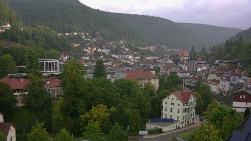 Webcam Bad Wildbad