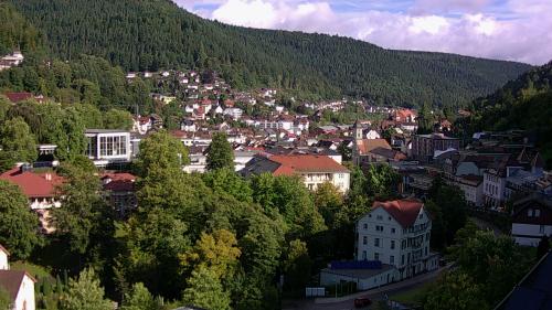 Webcam Bad Wildbad