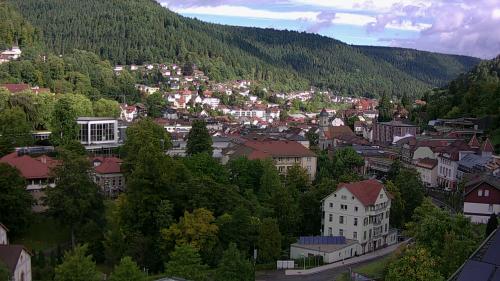 Webcam Bad Wildbad