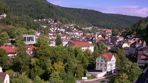 Webcam Bad Wildbad
