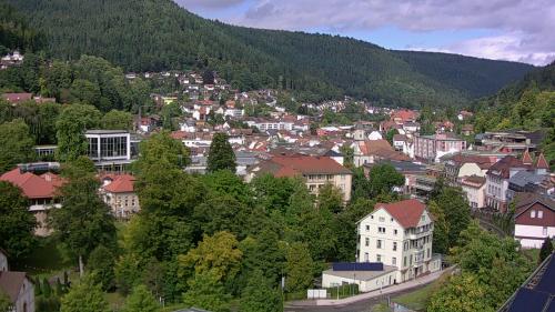 Webcam Bad Wildbad