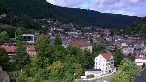 Webcam Bad Wildbad