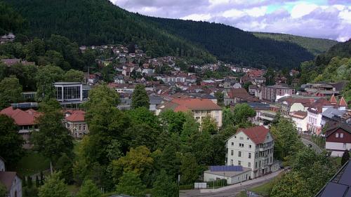 Webcam Bad Wildbad