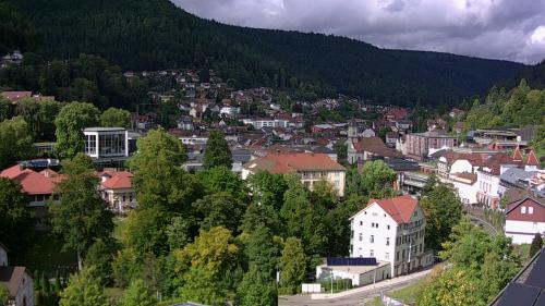 Webcam Bad Wildbad