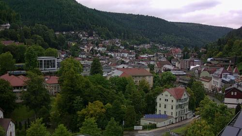 Webcam Bad Wildbad