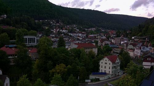 Webcam Bad Wildbad