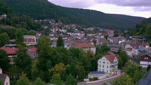 Webcam Bad Wildbad