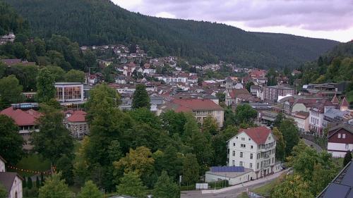Webcam Bad Wildbad
