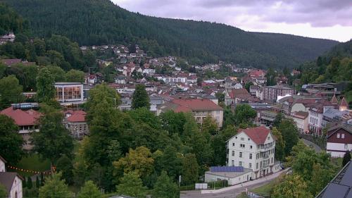 Webcam Bad Wildbad