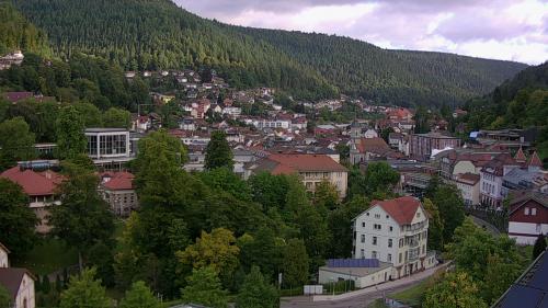 Webcam Bad Wildbad