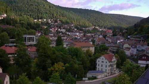 Webcam Bad Wildbad