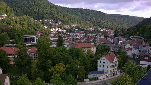 Webcam Bad Wildbad