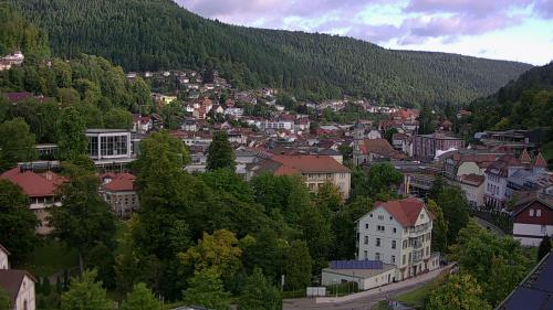 Webcam Bad Wildbad