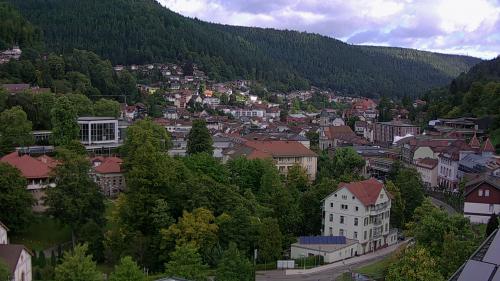Webcam Bad Wildbad