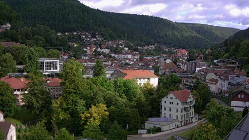Webcam Bad Wildbad