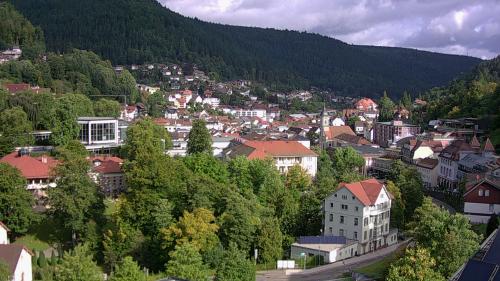 Webcam Bad Wildbad