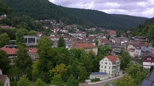 Webcam Bad Wildbad