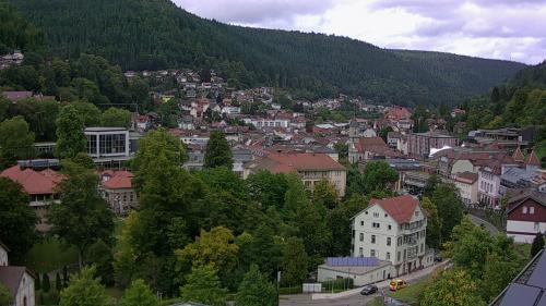 Webcam Bad Wildbad
