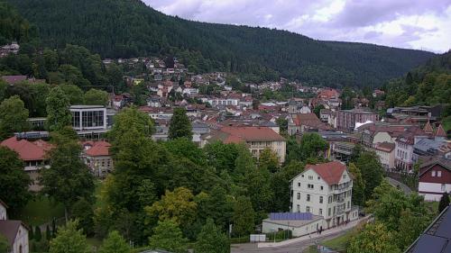 Webcam Bad Wildbad