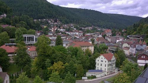 Webcam Bad Wildbad