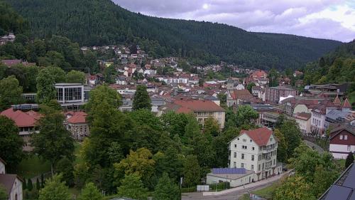 Webcam Bad Wildbad
