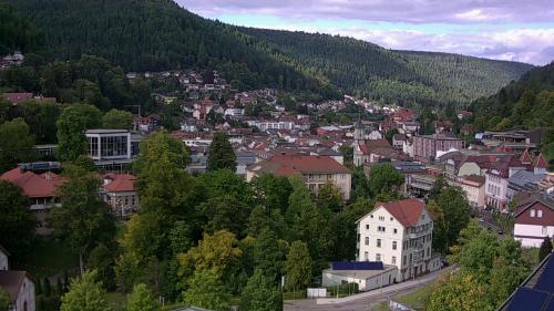 Webcam Bad Wildbad