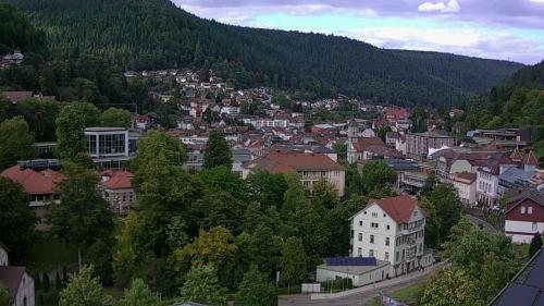 Webcam Bad Wildbad