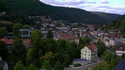 Webcam Bad Wildbad