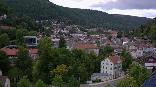 Webcam Bad Wildbad