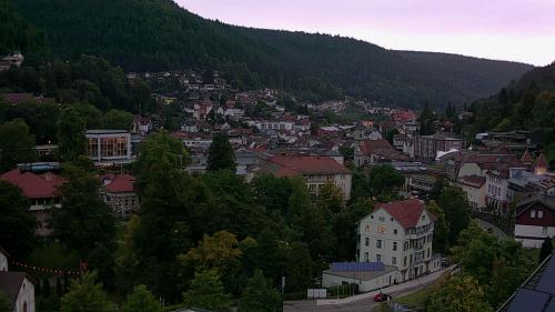 Webcam Bad Wildbad