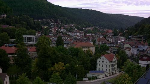 Webcam Bad Wildbad