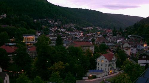 Webcam Bad Wildbad