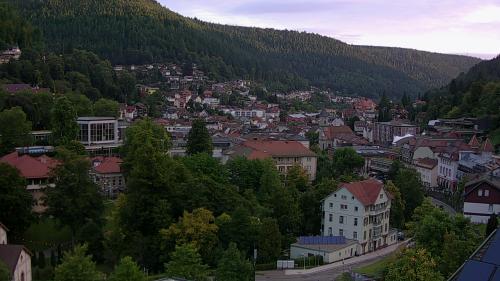 Webcam Bad Wildbad