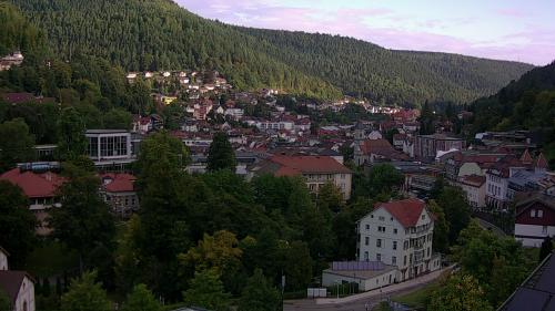 Webcam Bad Wildbad