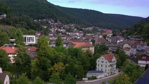 Webcam Bad Wildbad
