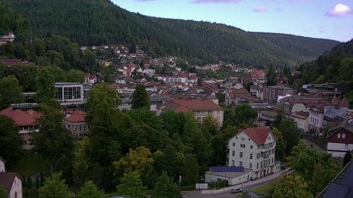 Webcam Bad Wildbad
