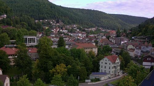 Webcam Bad Wildbad
